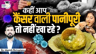 Why Karnataka is Cracking Down on Vendors of Pani Puri amp Manchurian l Manish Sir l StudyIQ IAS Hindi [upl. by Winther]