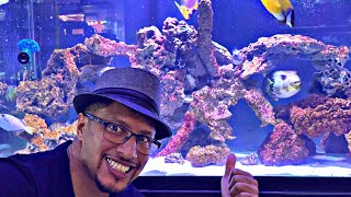 150 GALLON SALTWATER AQUARIUM What’s the stocking and maintenance schedule See for yourself [upl. by Oribelle801]