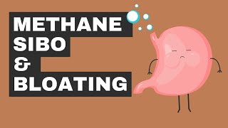 Methane SIBO  Two Tips to Beat The BLOAT [upl. by Eneliak]