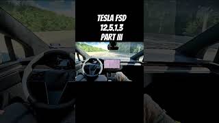 Tesla FSD Dog Approved Part 3 tesla robotaxi ev dog autonomous disruption htown [upl. by Ellehcin]