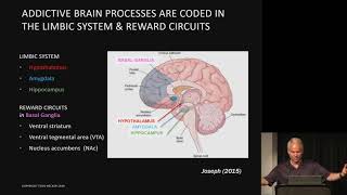 Todd Becker  Retraining the limbic brain to reverse obesity and addictions  AHS19 [upl. by Reeba]