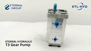 T3 Gear Pump from Eternal Hydraulic [upl. by Nalad]