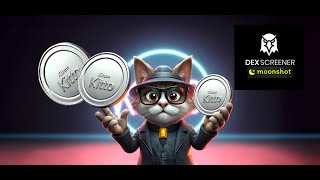 Kitto Meme Coin From Dexscreener Moonshot to Crypto Stardom [upl. by Nikolia]