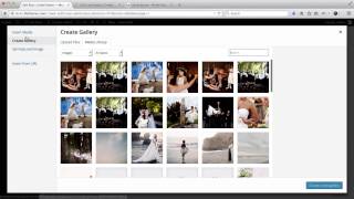 Flothemes  WordPress Gallery [upl. by Doersten902]