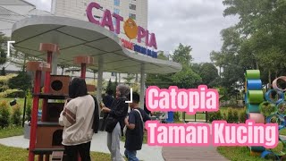 CATOPIA TAMAN KUCING SHAH ALAM [upl. by Khosrow803]