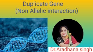 Duplicate Gene Non Allelic interaction [upl. by Sirtemed555]