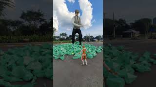 Fun graphic effects for daily entertainment whats inside the green stone statue [upl. by Paehpos]