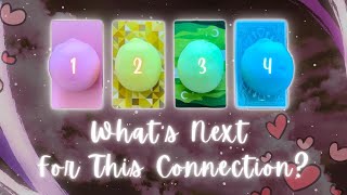 Where’s This Connection Headed🫢💞 Pick a Card Timeless InDepth Love Tarot Reading [upl. by Merla]