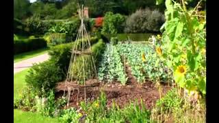 Home vegetable garden ideas [upl. by Eric]