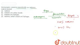 Methanogens growing anaerobically on cellulosic material produce  12  MICROBES IN HUMAN WELF [upl. by Lindsey157]