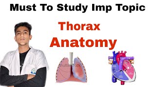 Explore The Imp Topic In Thorax Anatomy  1 st year professional exam [upl. by Drida]