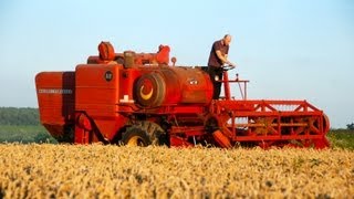 Classic Combine Week 6 Massey Ferguson 510 [upl. by Jyoti]