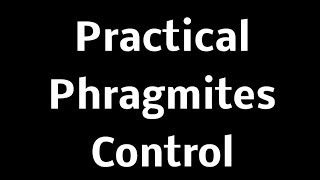 Practical Phragmites Control Meeting  Clay Twp Presentation [upl. by Pomeroy]