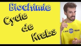 Cours de biochimie cycle de Krebs [upl. by Reiser]