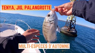 Quels POISSONS en AUTOMNE  Je tente TENYA JIG et PALANGROTTE [upl. by Xxam]