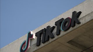 Fourteen attorneys general sue TikTok for alleged harm to mental health [upl. by Ambert]