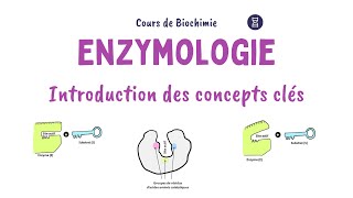 Introduction à lEnzymologie  Définitions et concepts clés [upl. by Aralomo751]