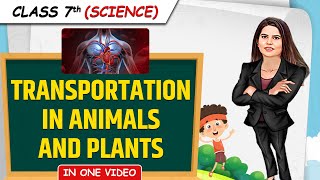 Transportation in Animals and Plants  Full Chapter in 1 Video  Class 7th Science  Junoon Batch [upl. by Won432]