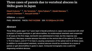 41 Three cases of paresis due to vertebral abscess in Shiba goats in Japan [upl. by Myrah]