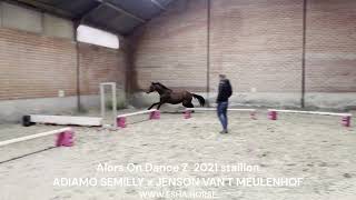 Alors On Dance Z ANDIAMO SEMILLY x JENSON VANT MEULENHOF [upl. by Sidalg]