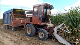 Chopping Corn Silage with a Hesston Field Queen [upl. by Hahcim]