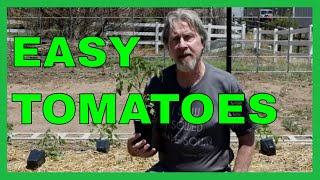 How to Plant Great Tomatoes Seed to Garden [upl. by Stag]