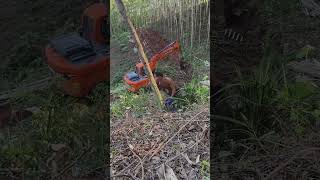 Lithium Electric Saw Pingguo Swallowchainsaws hardwaretools viralvideo foryou [upl. by Nairad]