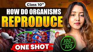 CLASS 10 HOW DO ORGANISMS REPRODUCE  BIOLOGY CLASS 10  SHUBHAM PATHAK science cbseclass10 bio [upl. by Northway]