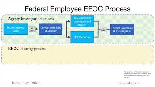 Federal Employee EEO Process From Informal Complaint to Federal Court [upl. by Libb]