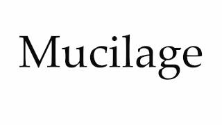 How to Pronounce Mucilage [upl. by Odrareve]