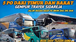 EDAN 22 BUS DARI TIMUR DAN BARAT GEMPUR TRAYEK SIDAREJA😱GILA ADA 5 PO BERSAING KETATBIKIN MERINDING [upl. by Fauch]