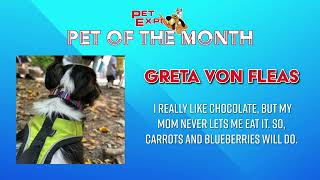 Pet Expos Pet of the Month November 2024 [upl. by Siryt]