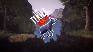 Run Tekila Run Full Demo [upl. by Ikairik]