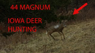 HITTING HARD 44 Magnum Deer Hunting [upl. by Ominoreg]