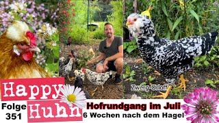 Von ZwergOrloff bis Inkalilie Hofrundgang im Juli 6 Wochen nach dem Hagelsturm HAPPY HUHN E351 [upl. by Thom858]