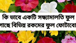 4 quotoquot clock care tips সন্ধ্যামালতীsonda maloti [upl. by Sokram]