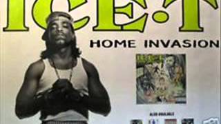 IceT  Home Invasion  track 16  99 Problems [upl. by Cardon]