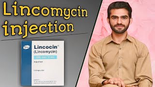 Lincomycin injection  uses side effects MOA contraindications doses  lincocin injection [upl. by Ellita5]