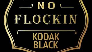 Kodak Black  quotNO FLOCKINquot Official Audio [upl. by Nnylyahs]