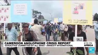 Atrocities committed by all sides in Cameroons Anglophone crisis Amnesty says • FRANCE 24 [upl. by Junia]