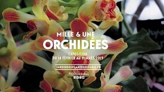 Mille amp une orchidées 2019 [upl. by Aicinoid568]