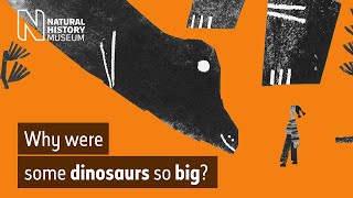 The biggest dinosaurs ever why did titanosaurs grow so large [upl. by Ilse]