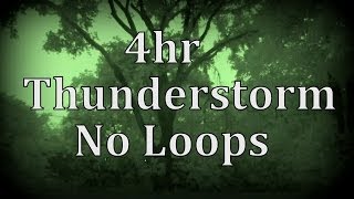 4hr Thunderstorm with No Loops quotSleep Soundsquot [upl. by Dore851]