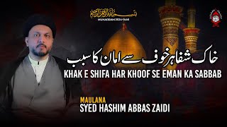 Khake Shifa Har Khauf Se Amaan Ka Sabab Maulana Syed Hashim Abbas Zaidi  Burrak Org [upl. by Alrick]