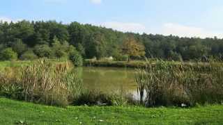 Wandern Franken Keller Karpfen KruzifixHallerndorf Kreuzberg und Aischgrund [upl. by Asnarepse]