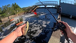 Fishing a LOADED Spillway with BIG Glide Baits Unexpected [upl. by Tolley740]