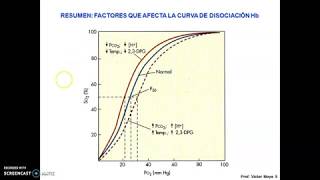 Clases Intercambio Gaseoso parte IV [upl. by Feirahs100]