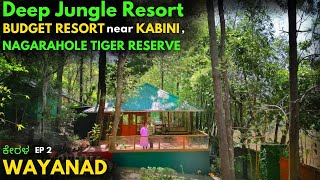 JUNGLE RESORT near Kabini  BUDGET RESORT in WAYANAD  Thennal Jungle Camp  Kabini Jungle Lodges [upl. by Earle861]