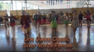 Berlin open 2019 line dance [upl. by Dnomsed]