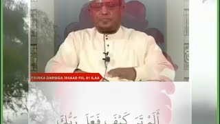 surah fiil alemtrakayfasxaabul viil amp li’iilaafi qureysh Tafsiikii plus subtitles [upl. by Eynahpets279]